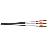 Ravin .001 XK5 500 Grain Match-Grade Lighted Arrows