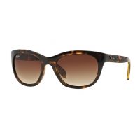Ray-Ban RB4216 Sunglasses