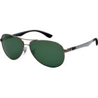 Ray-Ban RB8313 Sunglasses