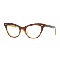 Ray-Ban Eyeglasses RX5226 with No-Line Progressive Rx Prescription Lenses