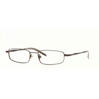 Ray-Ban Eyeglasses RX6116 with Lined Bifocal Rx Prescription Lenses