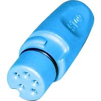 Raymarine SeaTalk NG Terminator