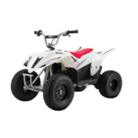 Razor Dirt Quad 500