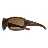 Revo Bearing Progressive Prescription Sunglasses