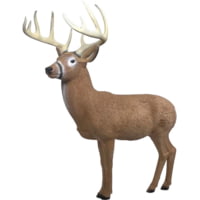 Rinehart Big Ten 2.0 Deer Target