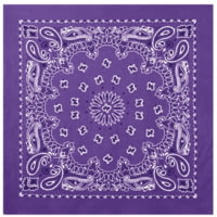 Rothco Trainmen Bandana