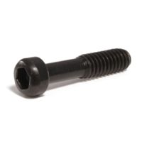 Ruger 10/22 Takedown Screw