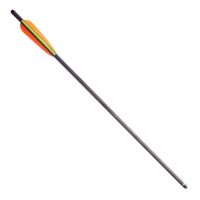 SA Sports Outdoor Gear Bang Sticks Carbon Bolts, Pack - 36