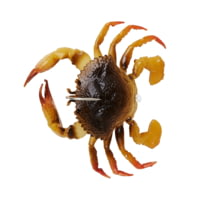 Savage Gear Toughtec Crab Soft Bait