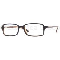 Sferoflex Eyeglasses SF1117 with Lined Bifocal Rx Prescription Lenses