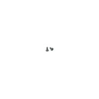 Shadow Systems RMR Mounting Screw