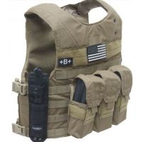Shellback Tactical Combat Aggressor Armor Carrier