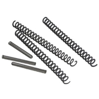 SIG SAUER Spring S Recoil And Firing Pin
