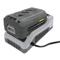 Snow Joe iON 40 V EcoSharp Lithium-Ion Charger