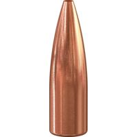 Speer TNT .257 87 Grain Jacketed Hollow Point Rifle Bullet