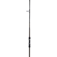 Star Rod, Aerial Surf Spinning Rod, 12-20lb, 3/4-2oz Lures 2 Piece, Cork Tape Grips