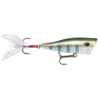 Storm Arashi Cover Pop 8, 3.12in, 1/2oz