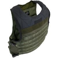 Tactical Assault Gear ACC Aggressor Armor Plate Carrier
