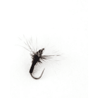 Name