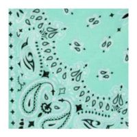 Carolina Manufacturing Fahsion Light