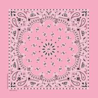 Carolina Manufacturing Paisley Light Pink