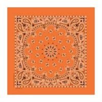Carolina Manufacturing Paisley Orange