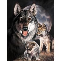 Tin Signs Graham Wolf Experienc Tin Sign