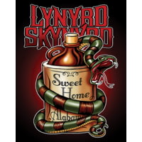 Tin Signs Skynyrd Sweet Home