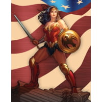 Tin Signs Wonder Woman