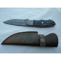 Titan Damascus Fixed Knife, Hunting, Bull Horn Handle TDK-53