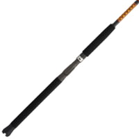 Ugly Stik Bigwater Conventional Rod