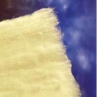 US Cotton Cotton Rolls and Balls 79210006 Cotton Absrbt Nonstrl Roll 1LB