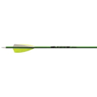 Victory Ares Youth Arrows 1006245