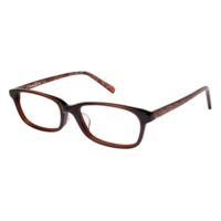 Visions 220A Progressive Prescription Eyeglasses