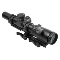 Vism Evolution 1.1-4x24 Rifle Scope w/ Mount Combo