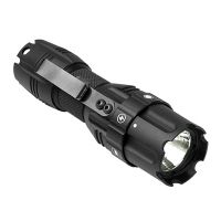 VISM Pro Series Compact Flashlight 250 Lms