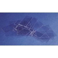 VWR Micro Cover Glasses 24X302