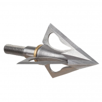 Name