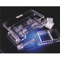 Whatman Elutrap Electroelution System, Whatman 10404090 Replacement Components BT1 Membranes, Pack of 100