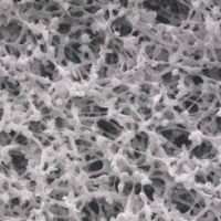 Whatman Membra-Fil Membrane Filters, Non-Gridded, Whatman 10401606, Pack of 100