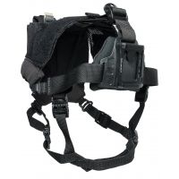 Wilcox Skull Lock Lite NVG Head Mount
