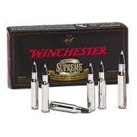 Winchester Ammo SBST243SS Ballistic Silvertip 243 WSSM 55 Gr Polymer Tip 20 Bx/
