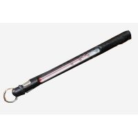 Wright &amp; Mcgill River Thermometer