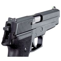 XS Sight Systems DXT Big Dot Sight - Sig Sauer