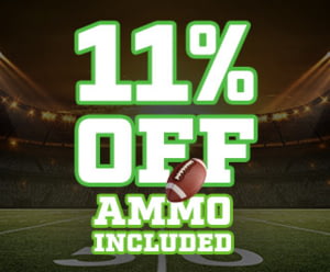 11% OFF, Ammo Included