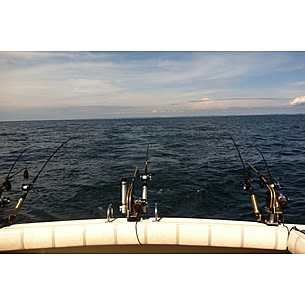 Fishing 101: How to Choose and Buy a Fishing Rod Fishing 101: How to Choose and Buy a Fishing Rod