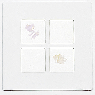 BD Identification Systems and Reagents, BD Diagnostics 231746 Bd
