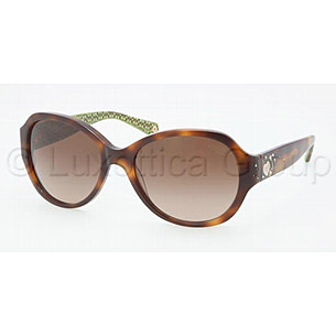 Coach Sunglasses (Cameron HC8022B) Round Black Rhinestone Sunglasses in Case Coach Women main image 2
