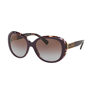 Coach L094 CARTER HC8120 Sunglasses | display picture 1