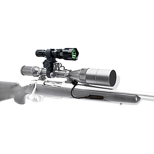 american hunter varmint light 250 lumen rechargeable flashlight green led American Hunter 250 Lumen Varmint Light |